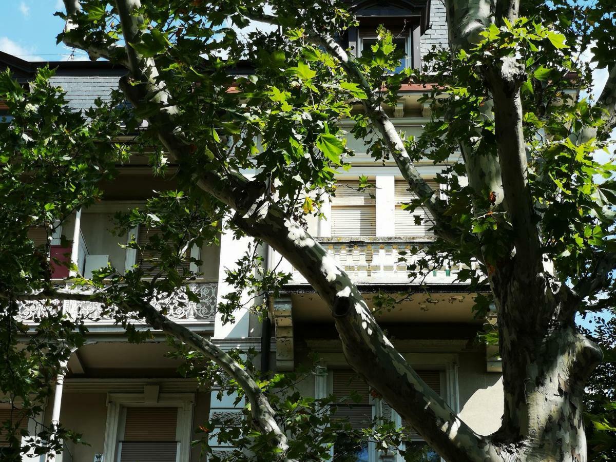 Spazioso E Accogliente Nel Centro Di Merano Exterior photo